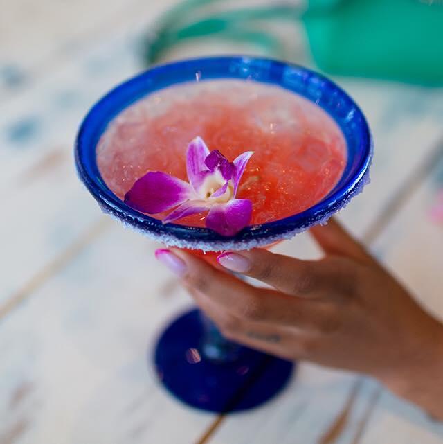 Tacology Restaurant Restaurant Brickell, Mexican Food